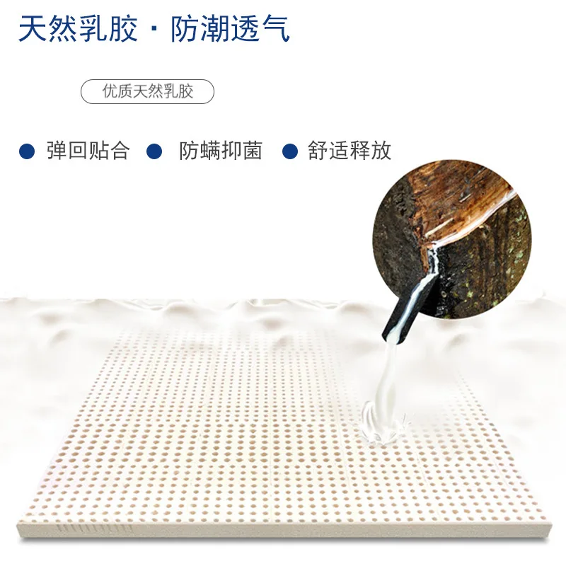 Materasso in lattice borsa indipendente a nove zone molla silenziosa