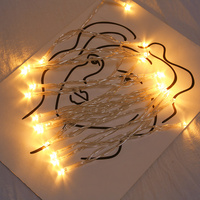 1Pcs 5M 50-LED USB Operated Decorative String Lights Charming Colored Lights for Christmas Tree Window Showcase Stage Ambience