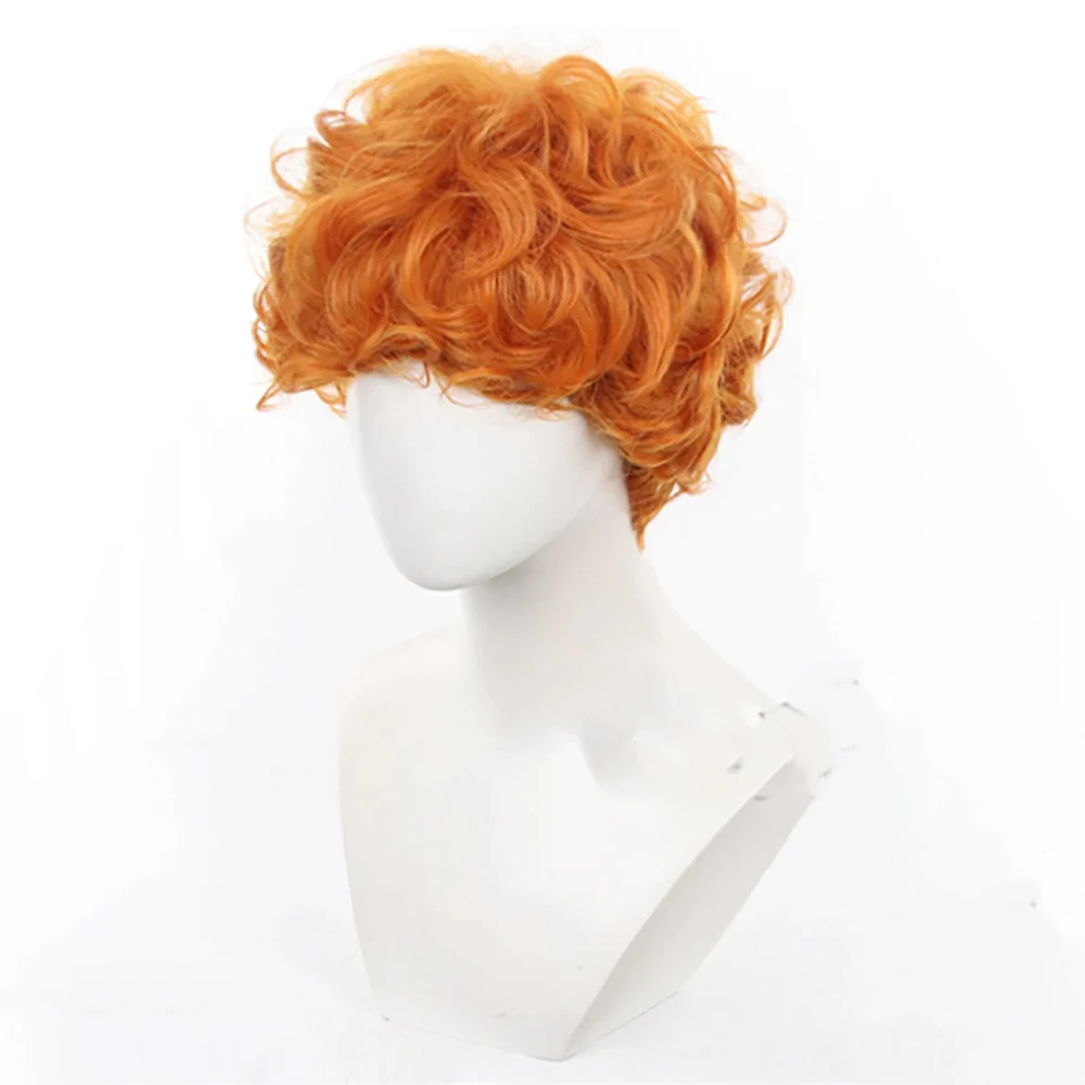 HAIRJOY Synthetic Hair Wig Brief in Panty & Stocking with Garterbelt Cosplay Wig Orange Short Curly Hair for Man Rose Net