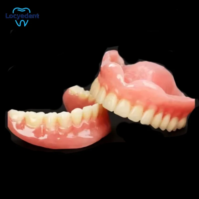 Denture Dental Teaching Model 1:1 Simulation Tooth Model Preparation Practice Oral Full Denture Model Decoration Antinsky