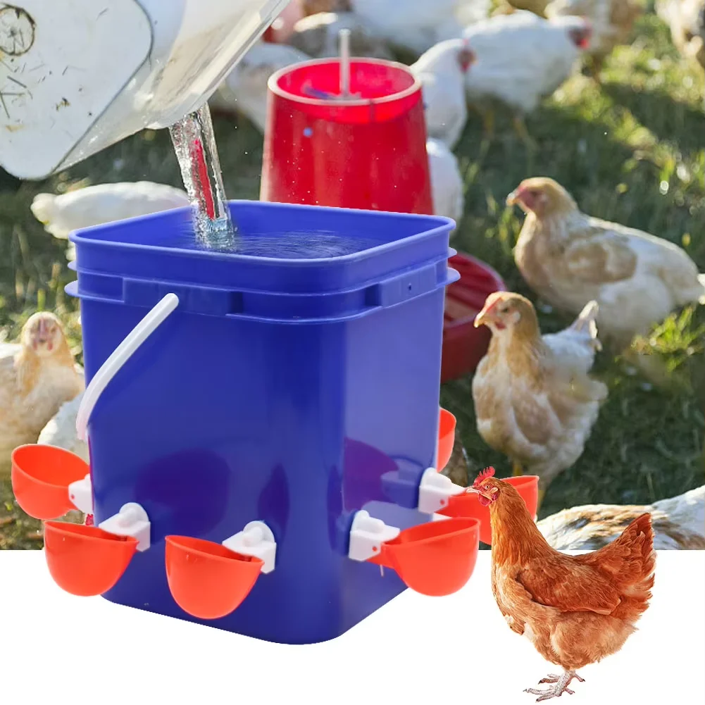 Thumbnail 4 - #11 Compare Automatic Livestock Feeders Before You Buy