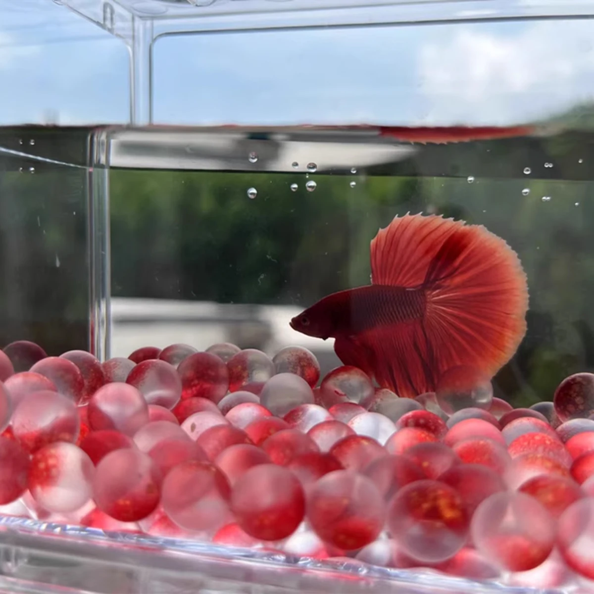 Aquarium Mattglas-Perlen, Kleine Aquarium-Landschaftsgestaltungszubehör, Mikro-Landschaft Ökologische Tank-Dekorationen und Ornamente – Detail 4