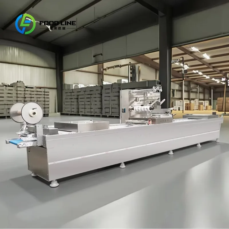 custom Stainless Steel Thermoforming Vacuum Sealer for Deli Meat Sausage Stretch Film Packer Automatic Electric Plastic Trays