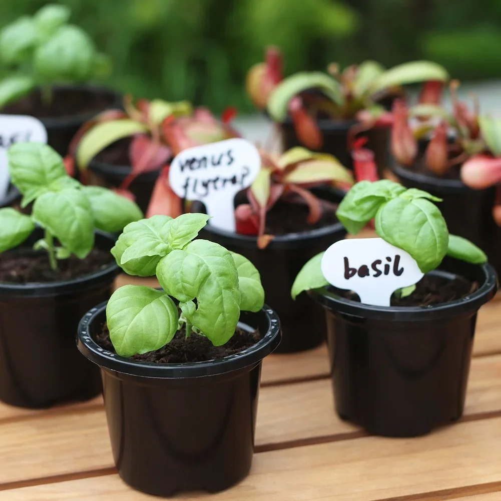 100Pack Garden Plant Markers T-Shaped Plastic Labels Tags 7x5cm Waterproof Tags For Pots Garden Labels