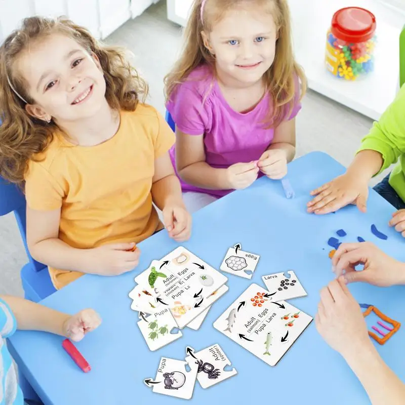 Kit de ciencia del ciclo de vida, bandeja de ciclo de vida reutilizable, Kit de ciencia preescolar, herramienta educativa, juegos de rompecabezas interactivos para niños de edad