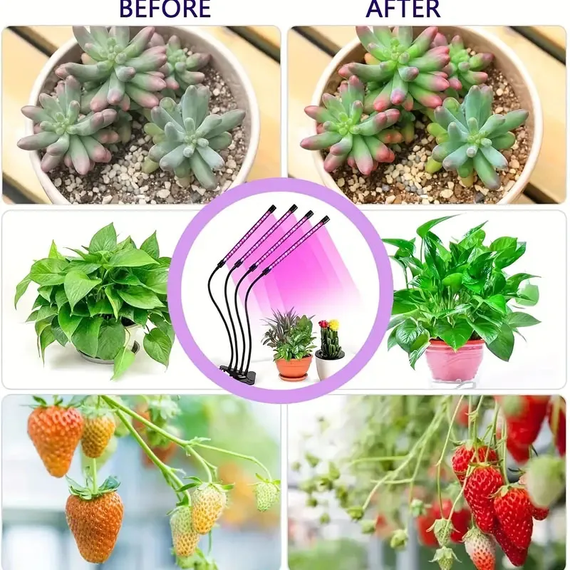 インドアガーデン用LEDグローライト,明るさ植物,3, 9, 12時間タイマー,調光可能,veg seedling,多肉植物,fitolampy