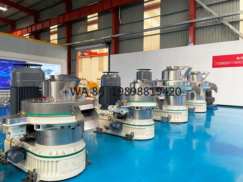 Wheat Pellet Hay Pellet Production Line with CE Green Energy Biomass Pelletizer Mill China Stable Performance 5t/h Straw