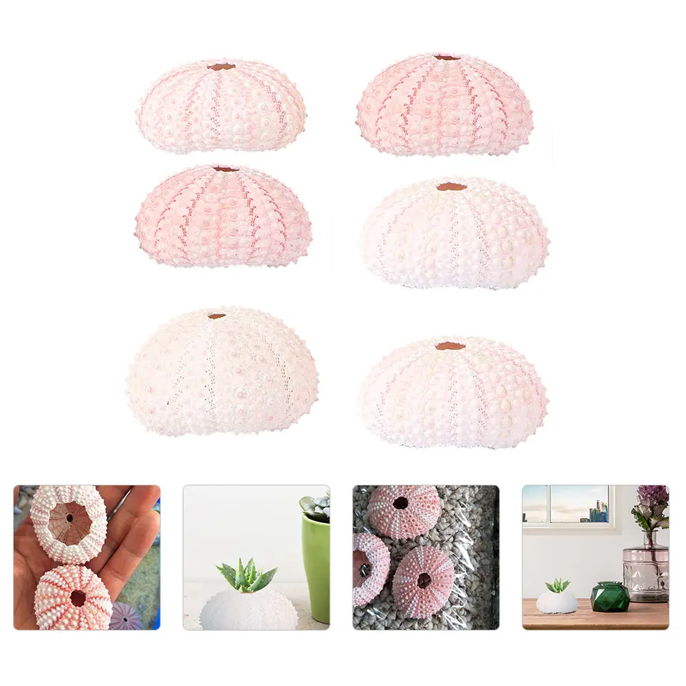 

6 Pcs Home Decoration DIY Conch Shell Sea Air Plants Pot Ocean Lovely Planter