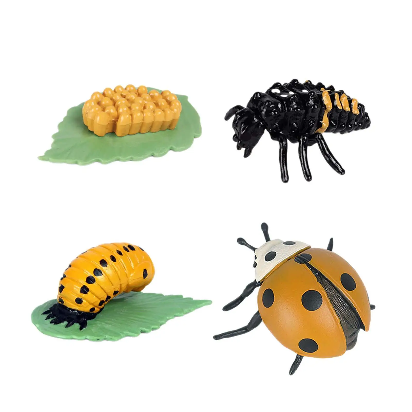 

Animal Life Growth Cycle Figure Diorama Model Toy Teaching Tool for Children