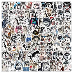 2024 New Cute Pet Husky Sticker Pack Cartoon Mobile Phone iPad Computer Car Helmet DIY Guitar Scrapbook Toy Decoration Wholesale