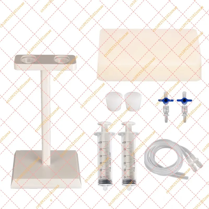 Ultrasound Guided Vascular Puncture Training Model Simulated Blood Circulation Injection Practice Training Pad