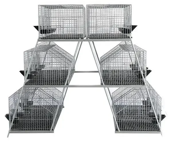 New Design Low Price Breeding Rabbit Cage Animal Cage New Product 2023 Carton Silver 25 Provided PLC 3MM Australia 1 Set 4 Years