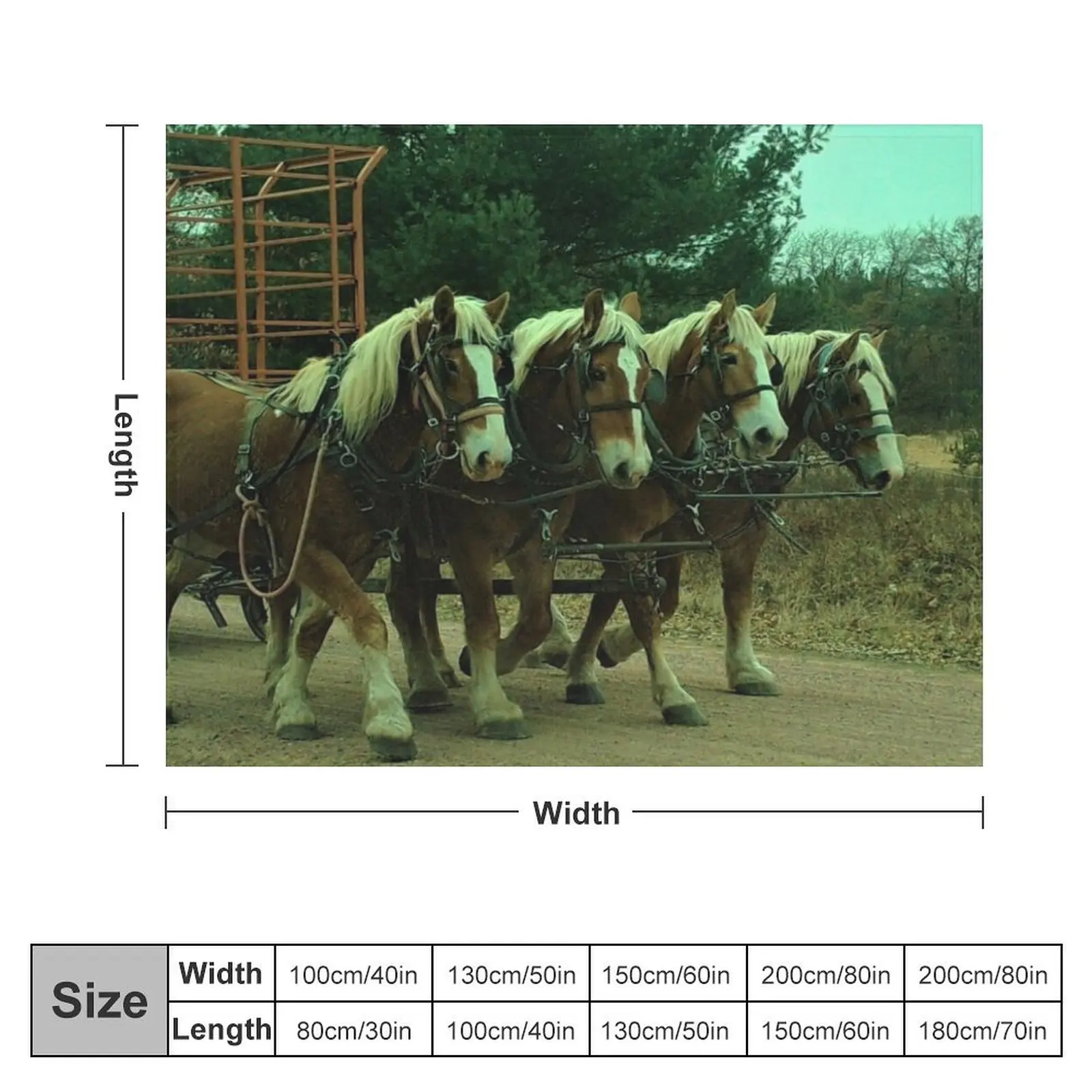 Color version of the horse working team Throw Blanket Sofa funny gift Blankets