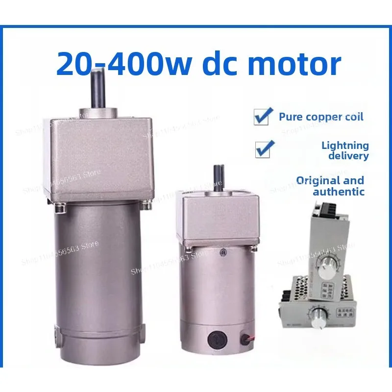 12V/24V/48V Variable Speed DC Motor - 300W High Torque Brushed Gear Motor with Forward/Reverse