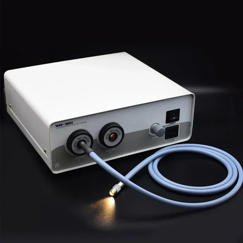 

Medical Endoscopy Cold Light Source/ Cold Light Source Cable ENT Instruments Halogen Dual Holes Fiber Optic Endoscope Cable