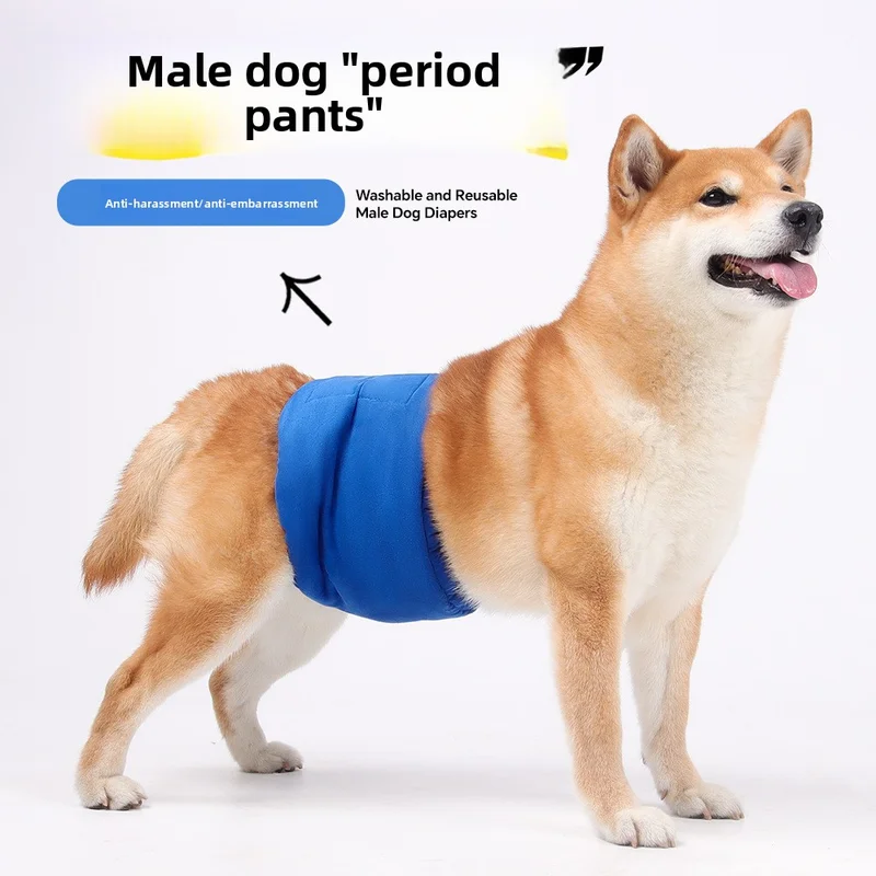 

Exclusive Dog Physiological Pants Breathable and Comfortable Pet Pants Anti Estrus Harassment Male Dog Courtesy Pants