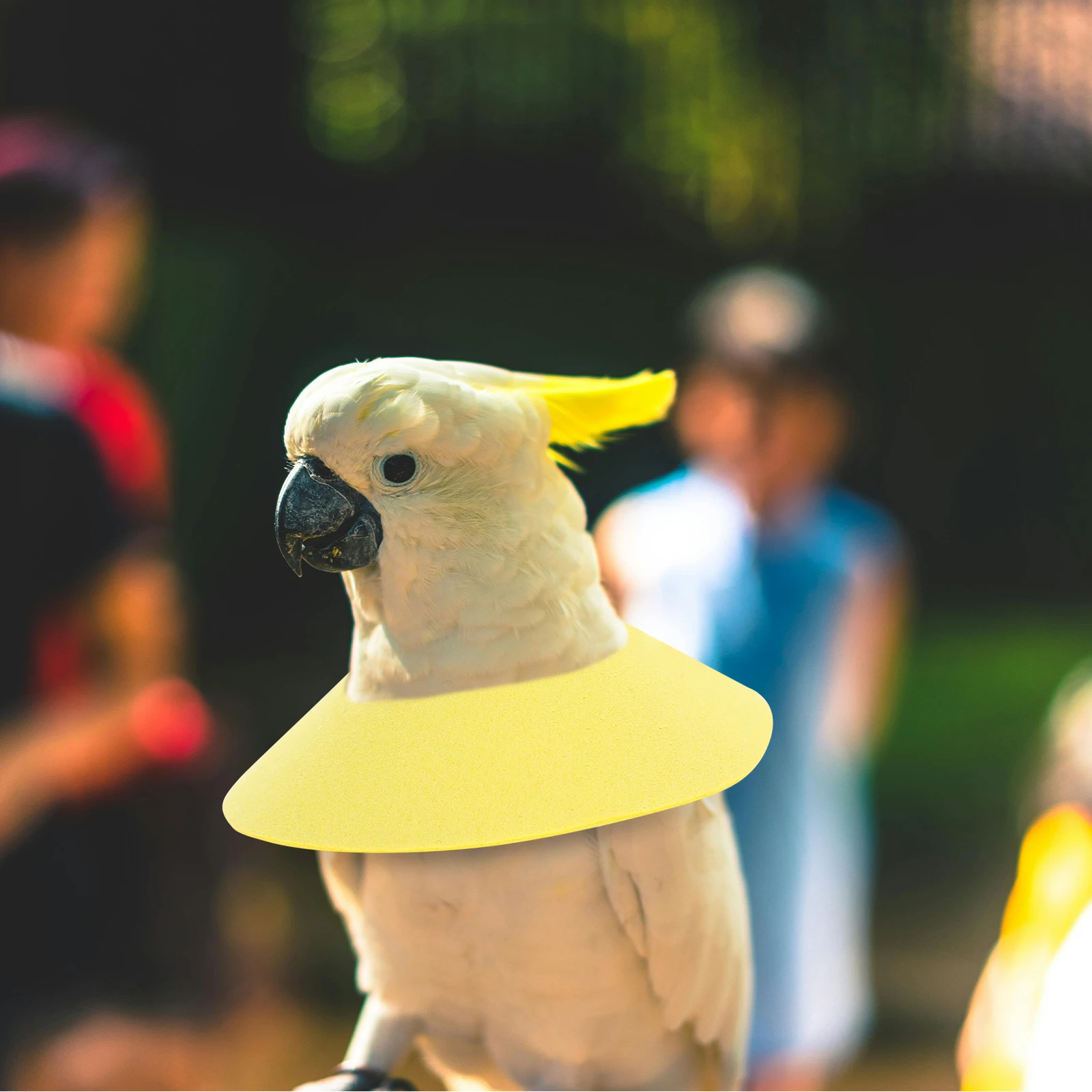 

Anti-Pecking Collar Neck Cone for Parrots Protection Accessories Bite Resistant Recovery Healing Felt Design Easy Adjust