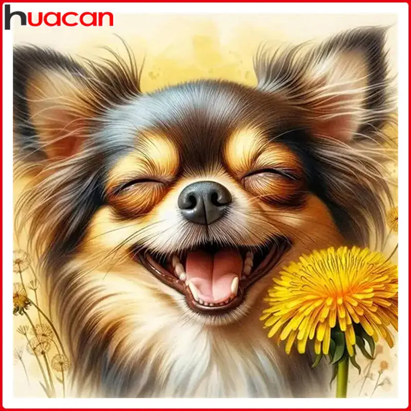 Huacan Diamond Pain…