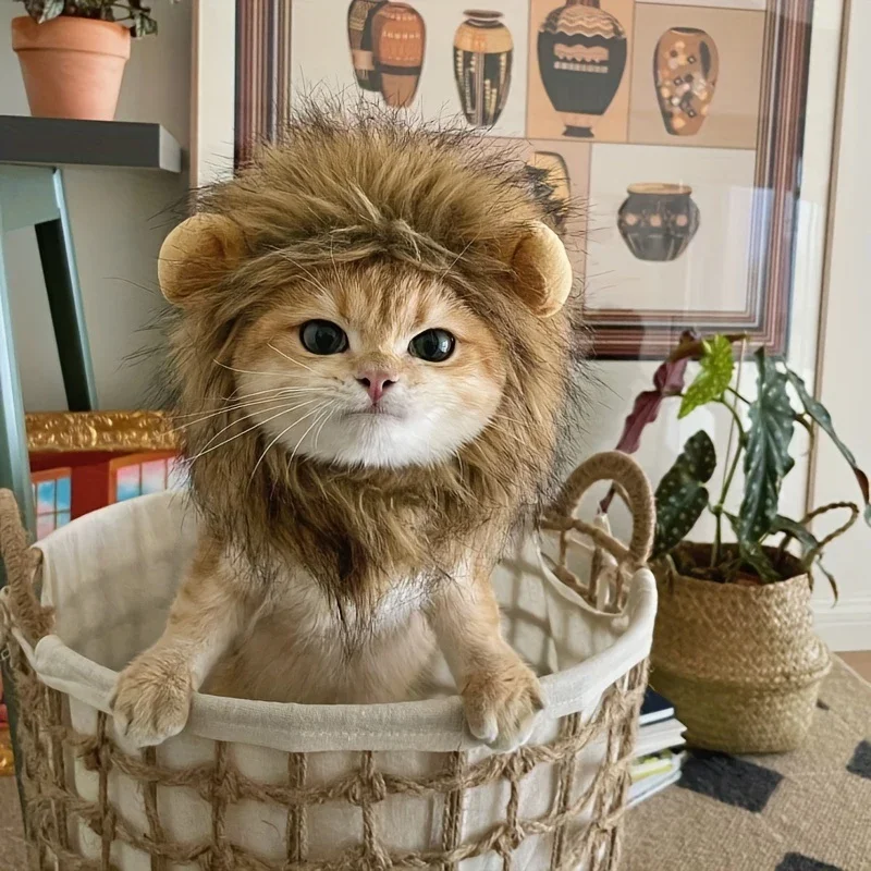 

Cute Lion Mane Wig for Cats & Dogs, Funny Pet Costume Hat, Cosplay Photo Props