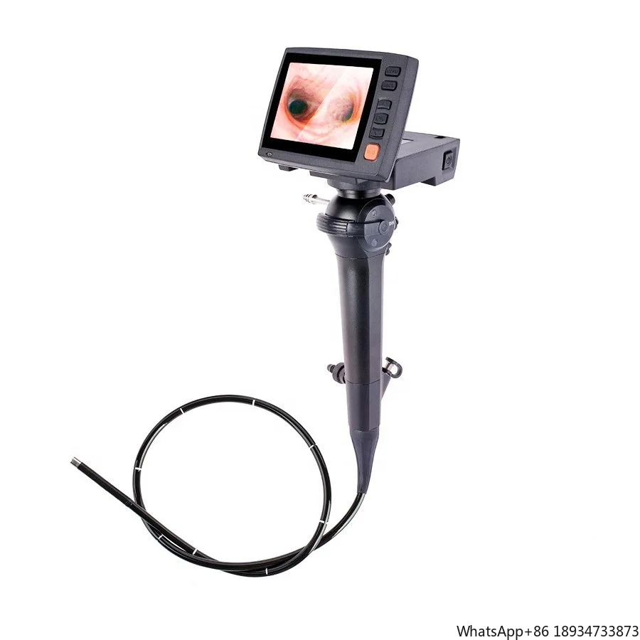 Medical Portable Digital Video ENT Endoscope Flexible Video Bronchoscope Laryngoscope ENT Electronic Flexible endoscope