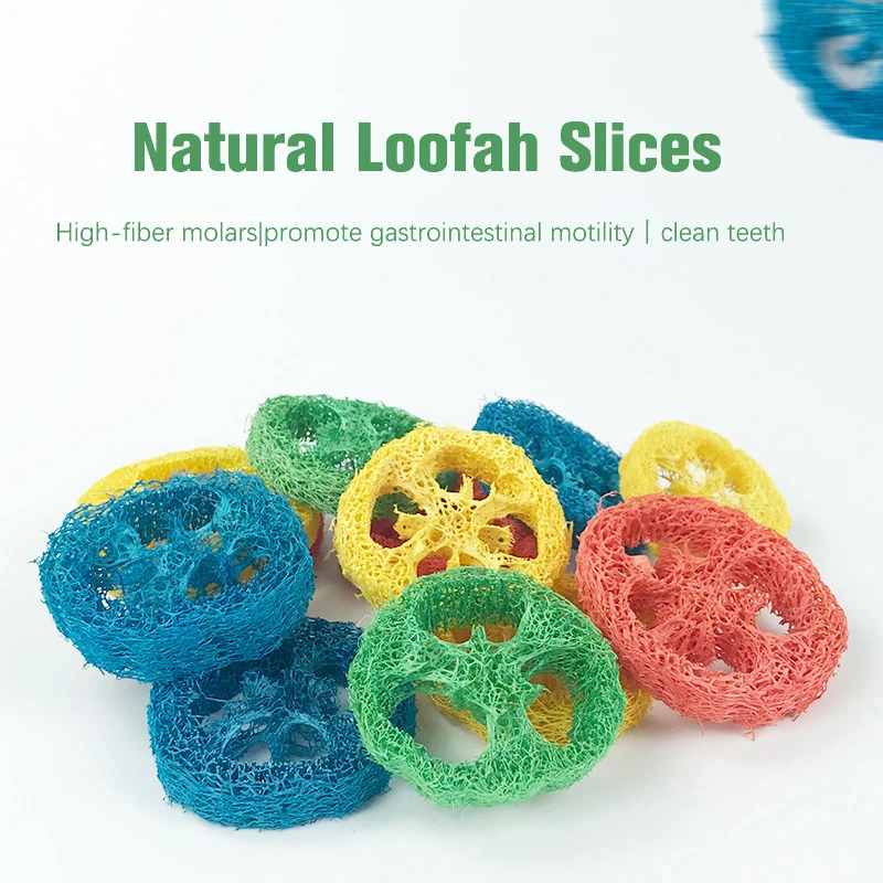 Pet Molars Natural Loofah Color Cleaning Loofah Slices Hamster Chinchilla Molar Toys Snacks Bite-resistant Small Animal Supplies