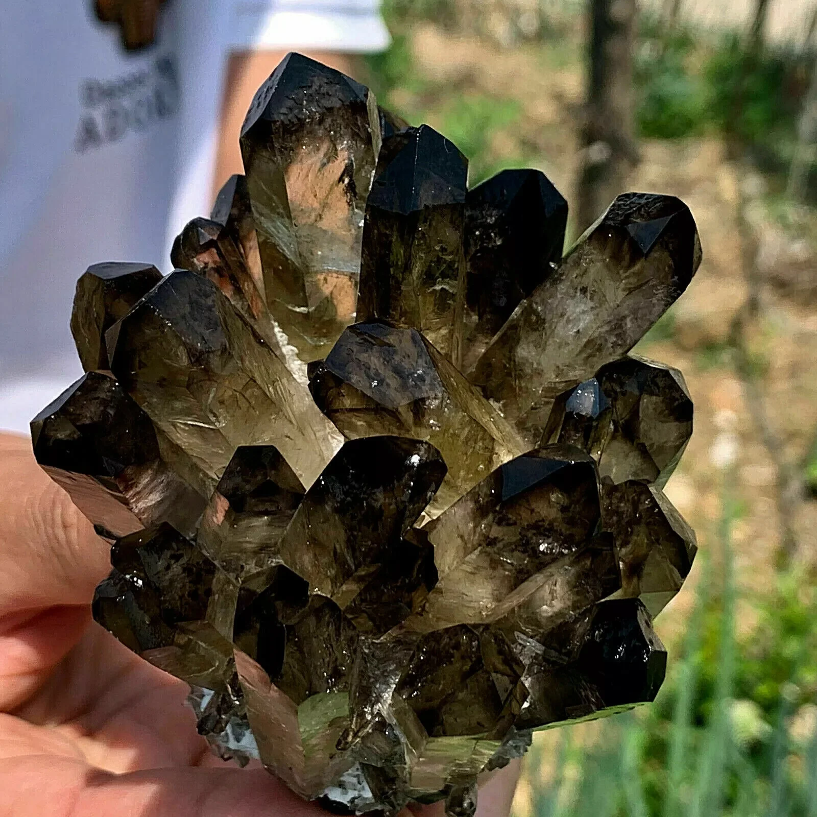 

New Find black Phantom Quartz Crystal Cluster Mineral Specimen Healing