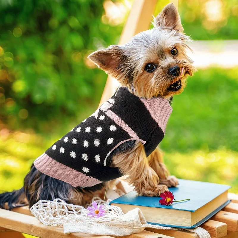 Christmas Winter Dog Clothes Striped Print Knitted Sweater Chihuahua Yorkshire Jacket Coat for Girl Dog Dress Coat Pet Costume