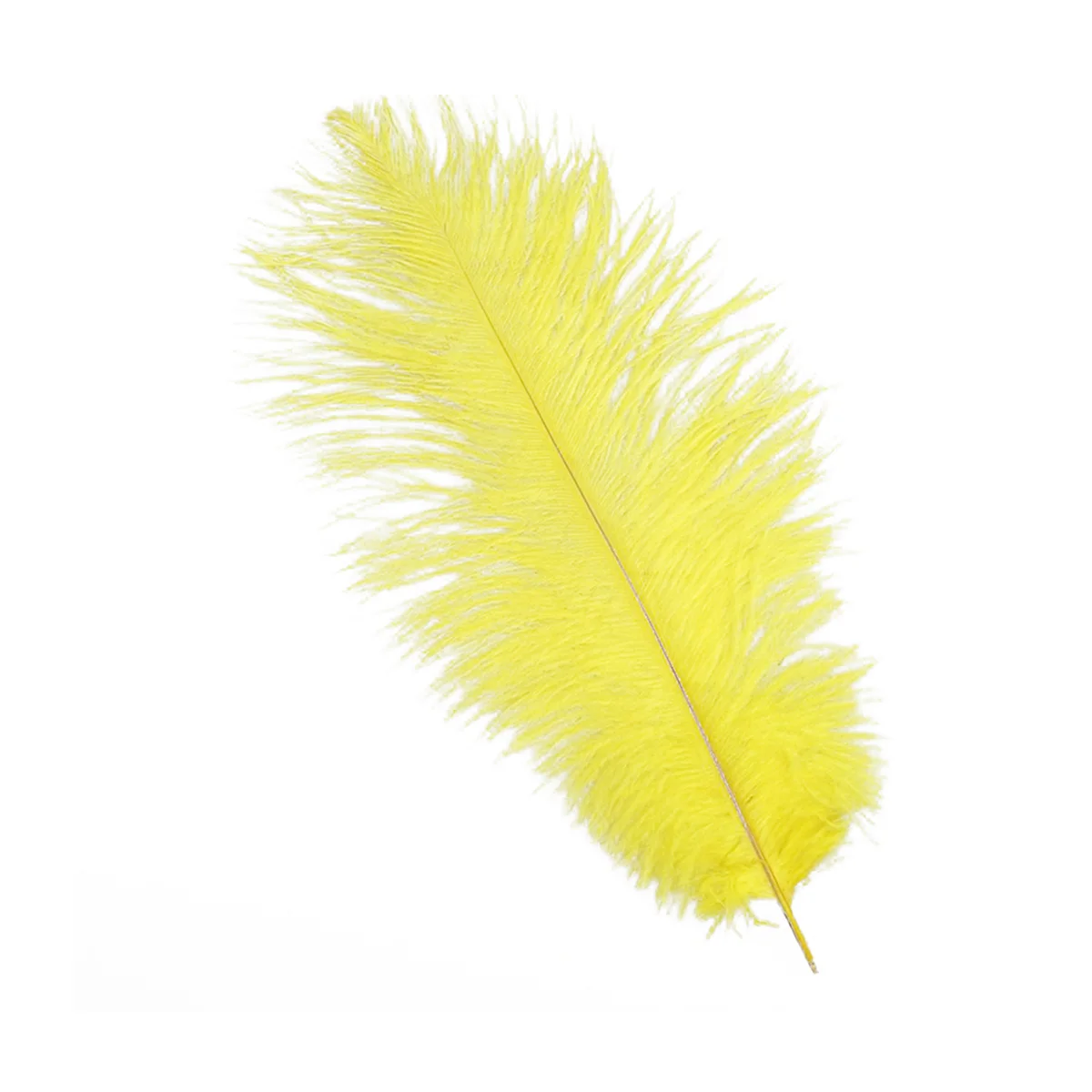 

10Pcs Processed Natural White Ostrich Fumigated for Wedding Party Home Decoration DIY Crafts Ostrich