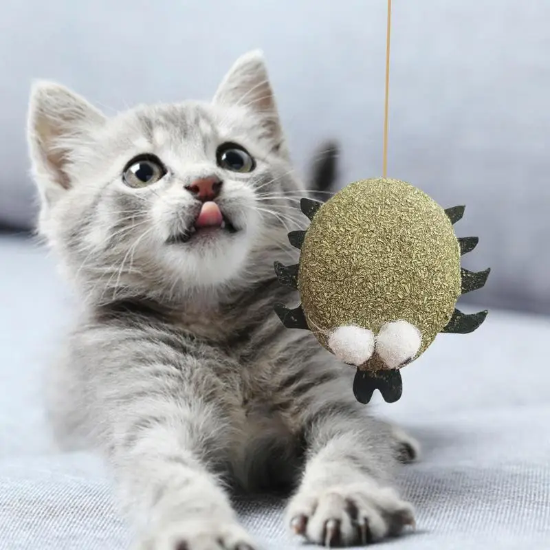 Catnip Cat Toys Cartoons Edible Catnip Ball Safety Healthy Cat Mint Cats Molar Teeth Clean Teeth Game Pet Toy Catnip Filled