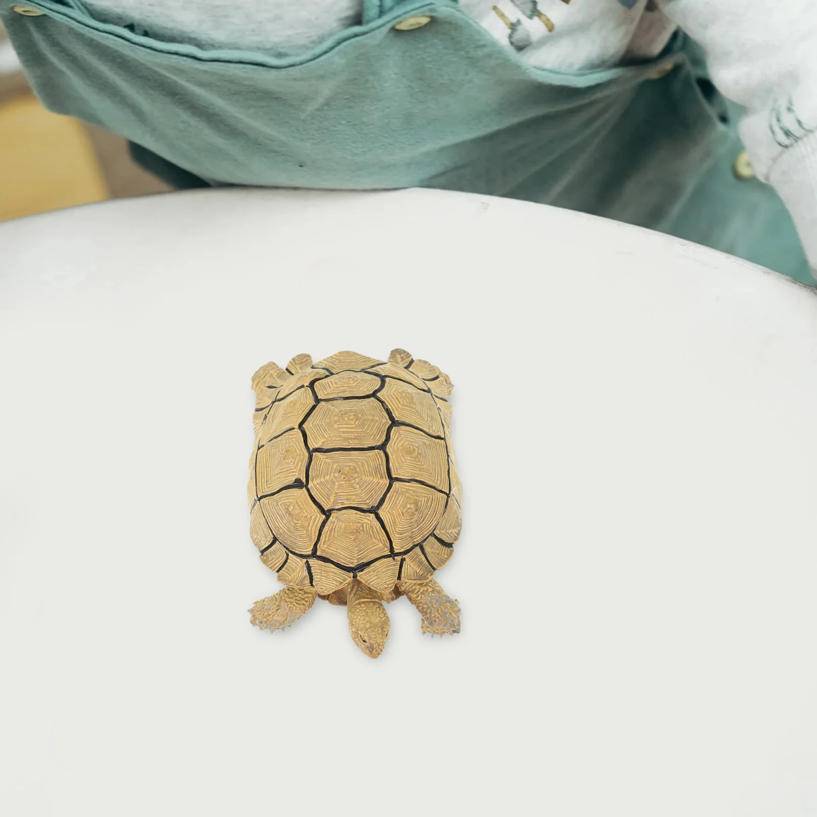 

Simulated Tortoise Toy Simulation Turtle Figure Model Recognition Figurines Artificial Lifelike