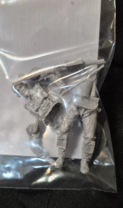 Buyer photo of this resin kit