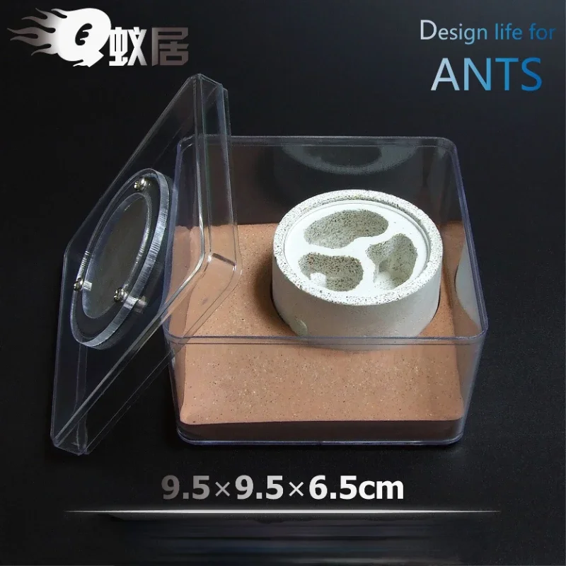 Q Ant House Professional Ecological Imitation Pet Ant New Back Nest Concrete Acrylic Villa Advanced Ant Queen Pastoral Castle