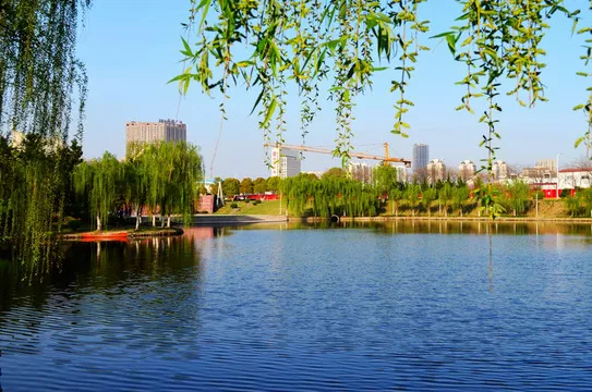 

TRX4M 4PCS Metal 1 Inch Wheels with Tires Upgrade Hub Tyre Set for 1/18 RC Crawler Car Trxs TRX4-M Defender Bronco SCX24 FMS