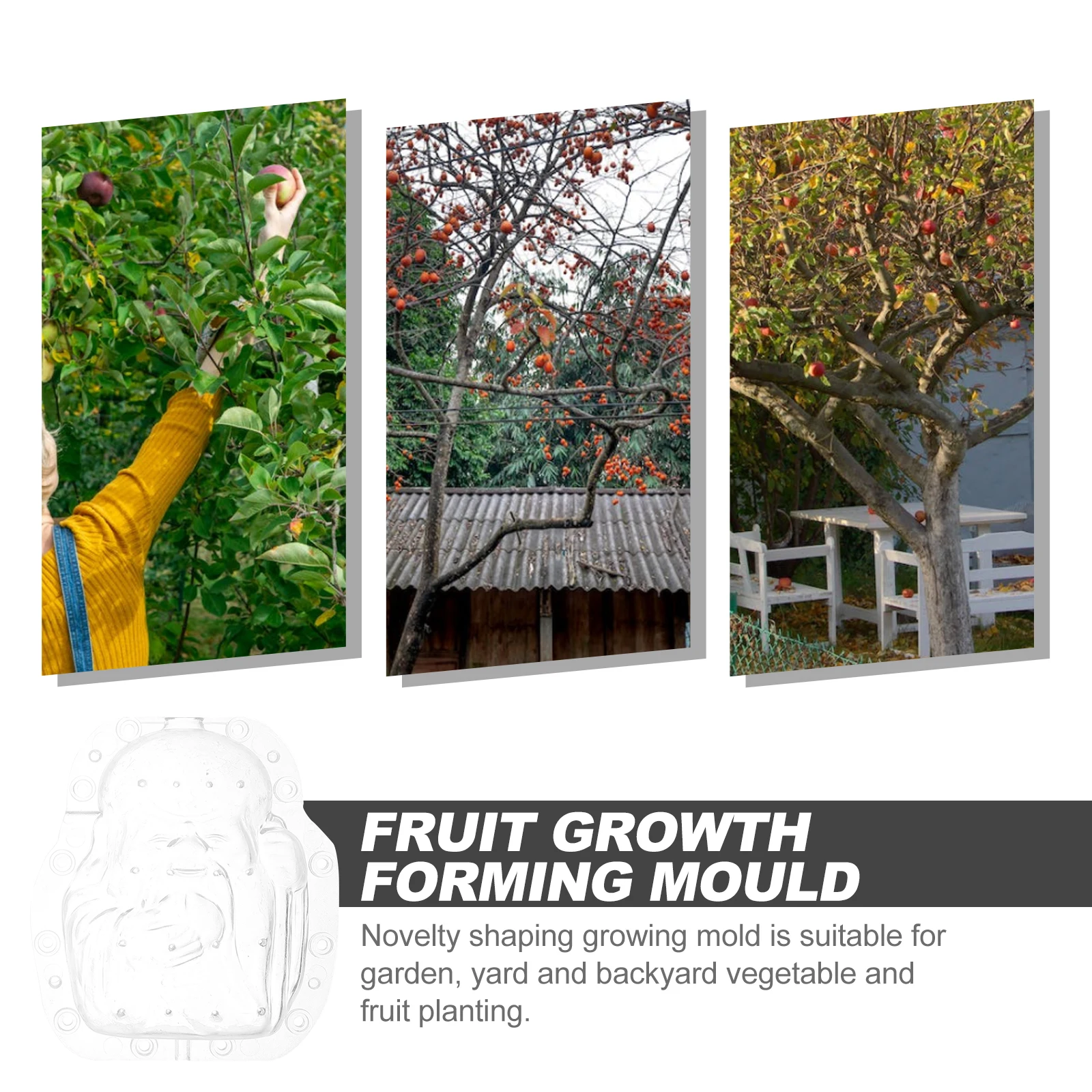 

Fruit Growing Mold Multi-Function Shaping Tool Clear Pressure Resistance DIY Vegetable Molds for Gardening Backyard Use