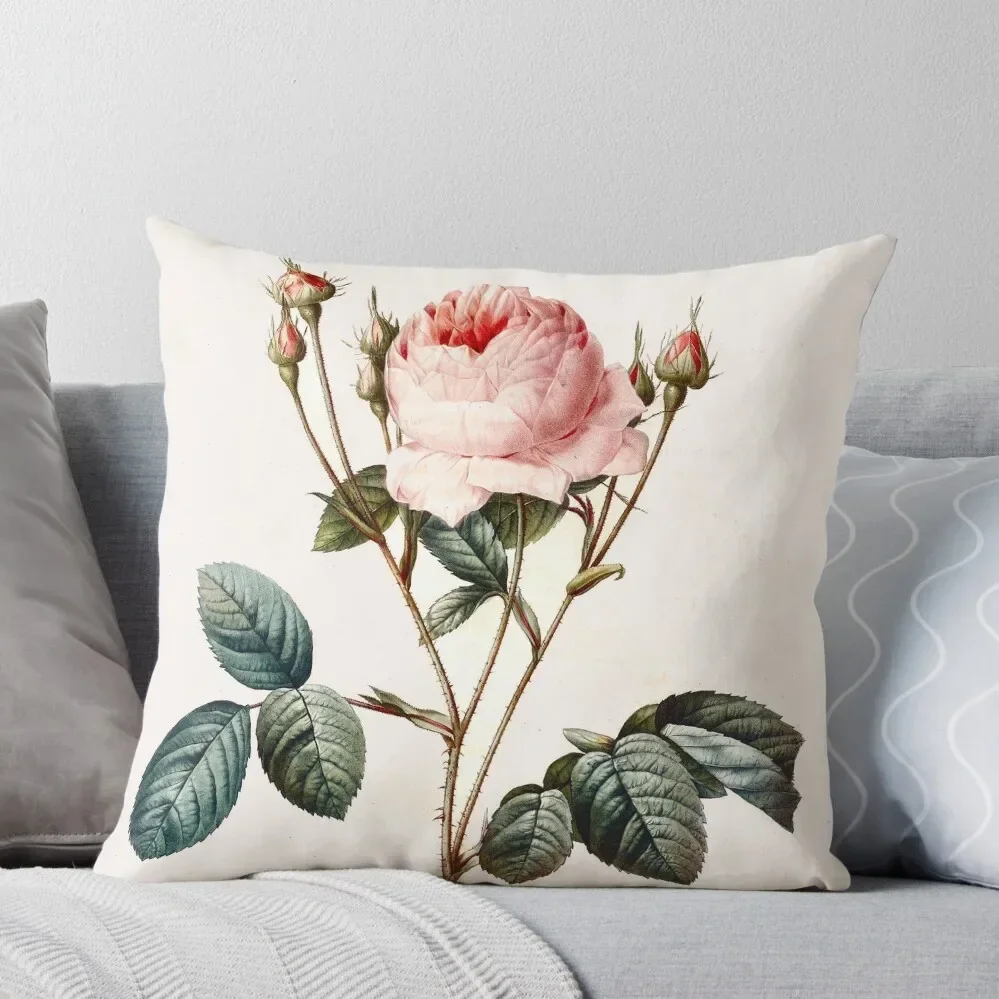 Vintage Redoute Rose Botanical Throw Pillow Couch Pillows Couch Cushions Ornamental Pillow Pillow