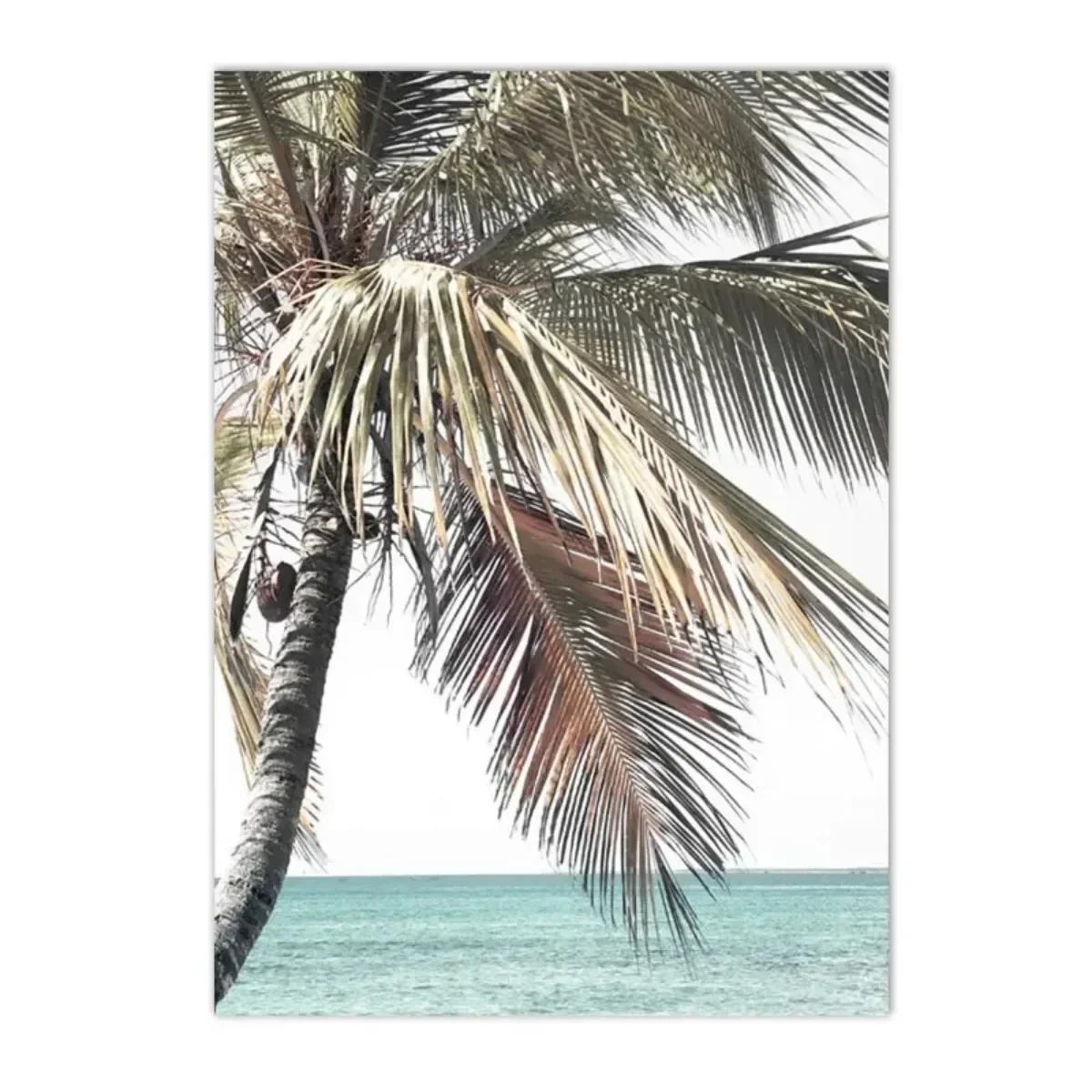 2026 new Canvas Painting Sea Beach Coconut Palm Tree Poster Travel Wall Art Print Summer Landscape