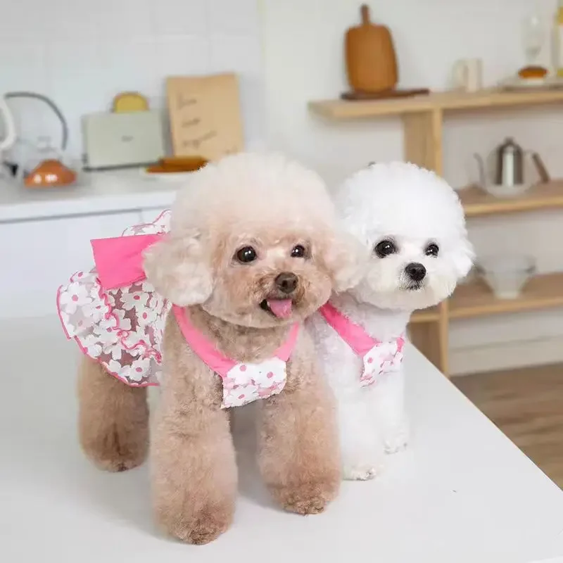 

Одежда для тяги домашних животных, юбка, чем платье с бантом для медведя и плюшевой собаки, японская и корейская мода, хит продаж