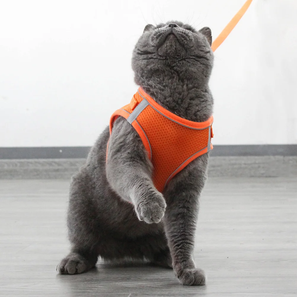 

Dog Vest Harness Leash Set Orange Size S Breathable Reflective Chest Strap Outdoor Pet Harness Set Pet Chest Strap