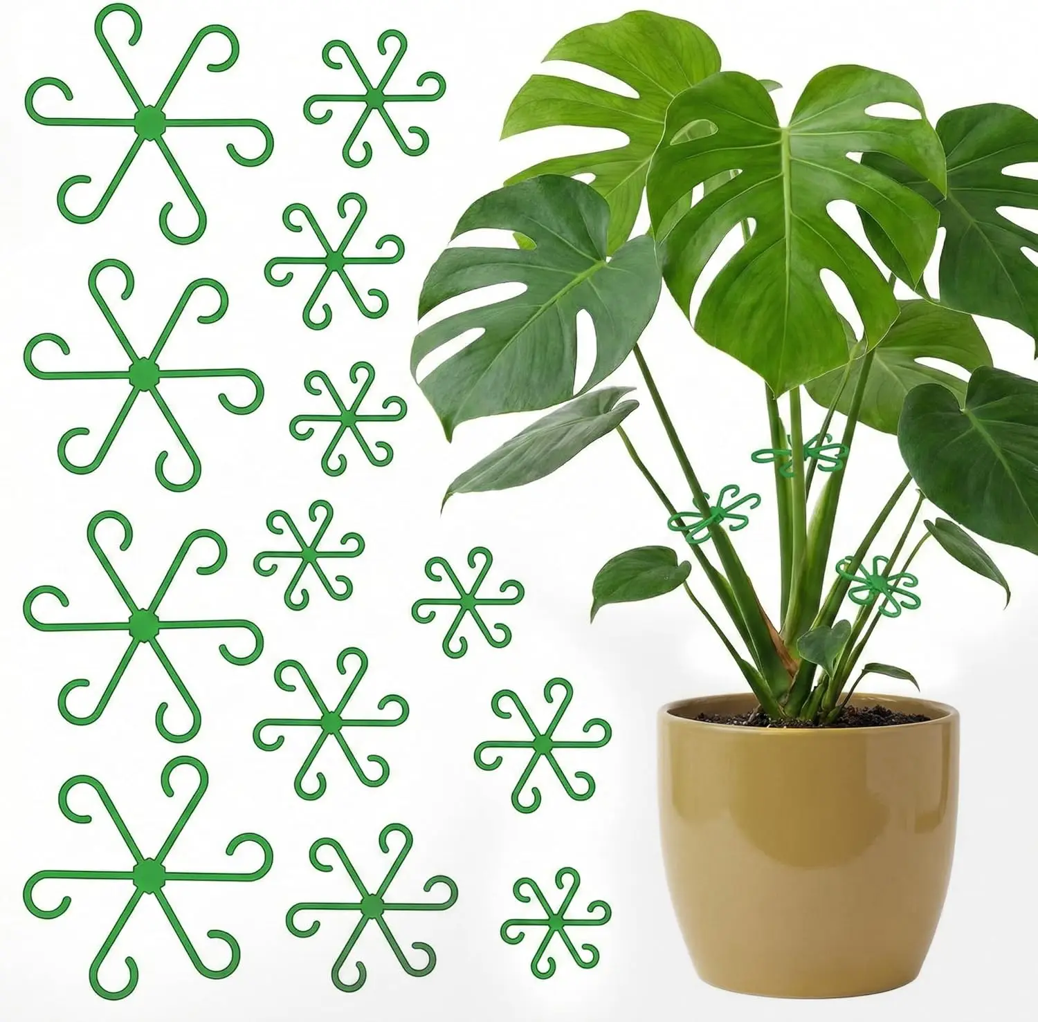 80PCS/pack Plant Stem Support for Indoor Plants, Climbing Houseplant Stem Supports 4 Sizes Reusable Clips for Monstera Pothos