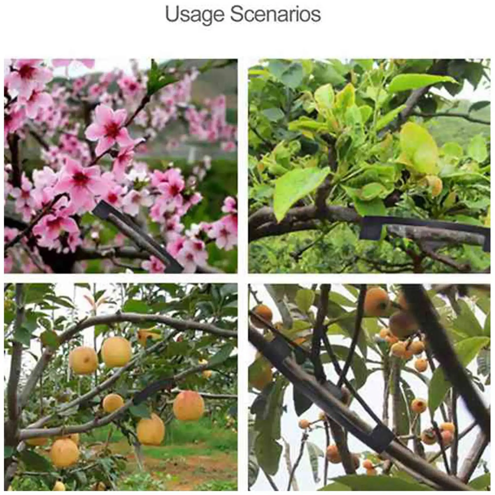 A19F-40PCS Fruit Tree Shaper Branch Bender Plant Trainer Bending Clips Twig Clamps Bonsai Shaped Twig Clip Bending Tool