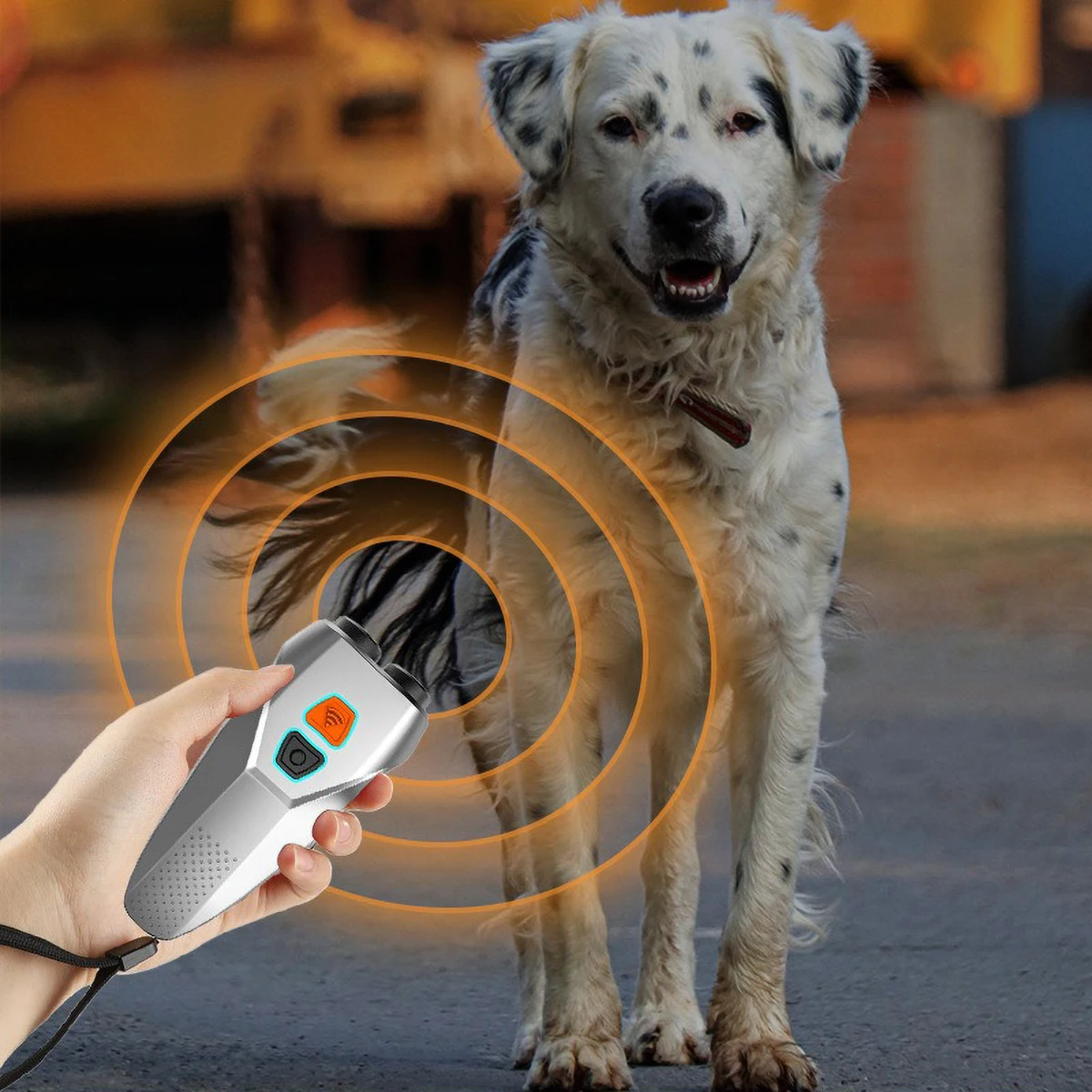 

Wireless Sonic Dog Repellent, 2 Modes (Training/Repelling), LED Light, USB Rechargeable, 30-Day Battery Life