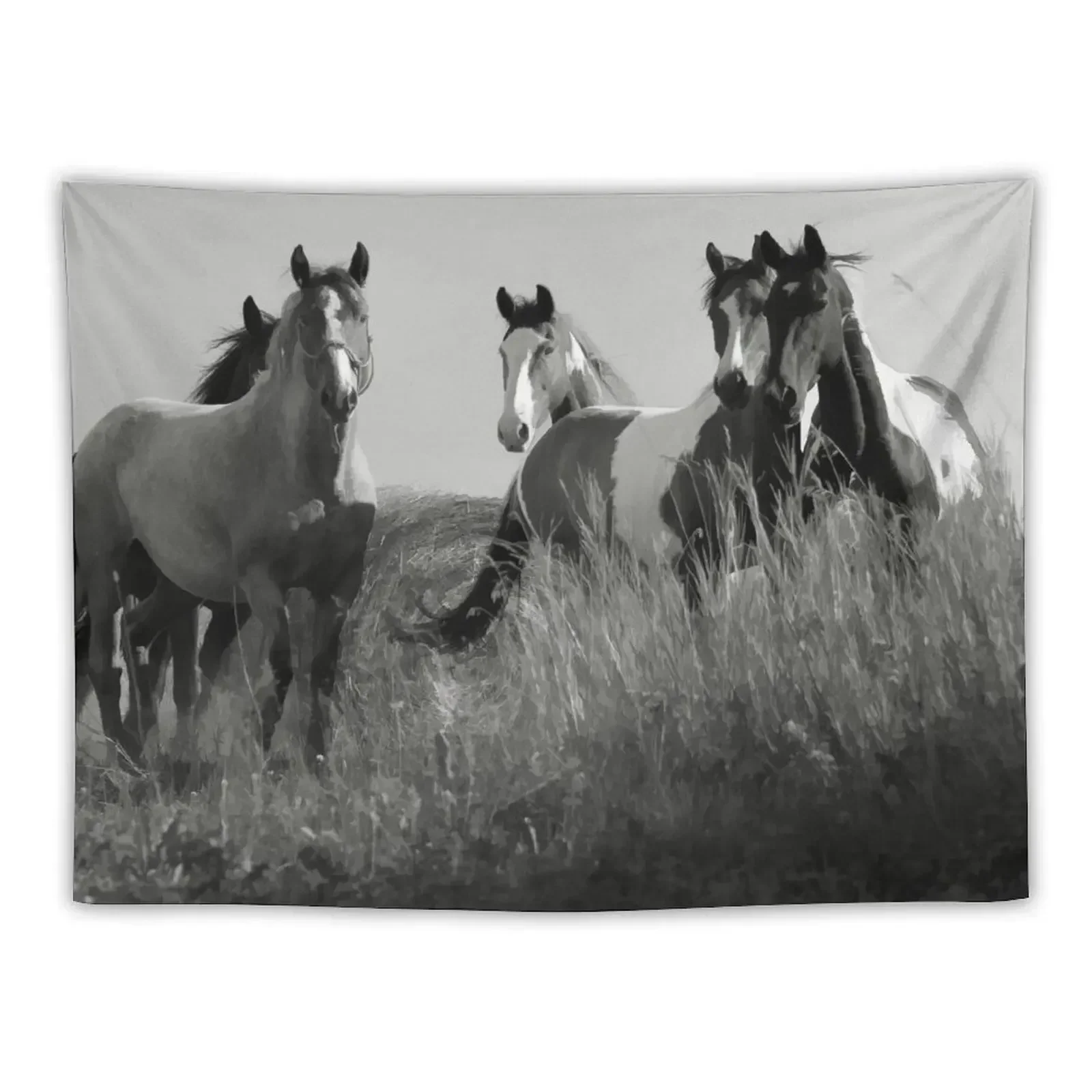 

Cariboo Horse Herd Tapestry Decorative Wall Bedroom Decorations Aesthetic Room Decor Room Decorations Tapestry