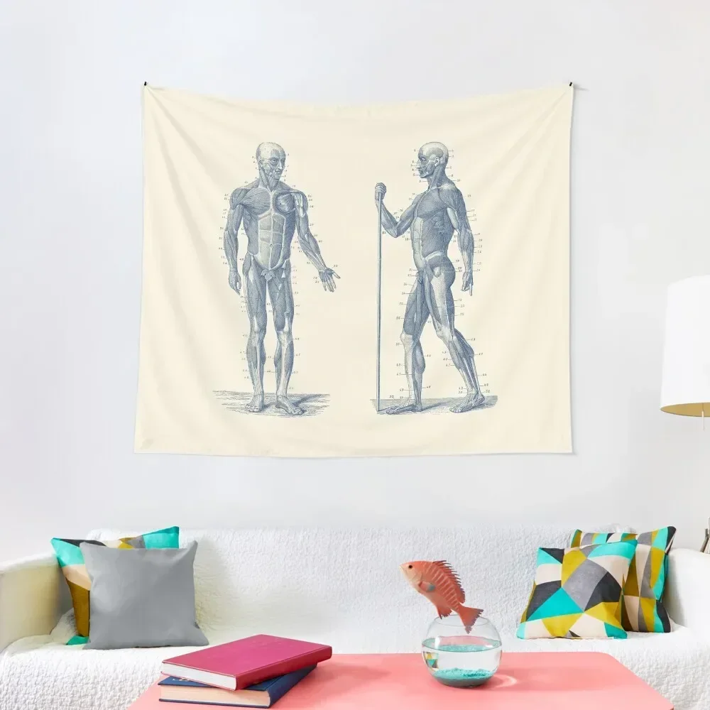 

Dual View Human Muscle System - Vintage Anatomy Tapestry Aesthetic Room Decor Bedroom Deco Room Decore Aesthetic Tapestry