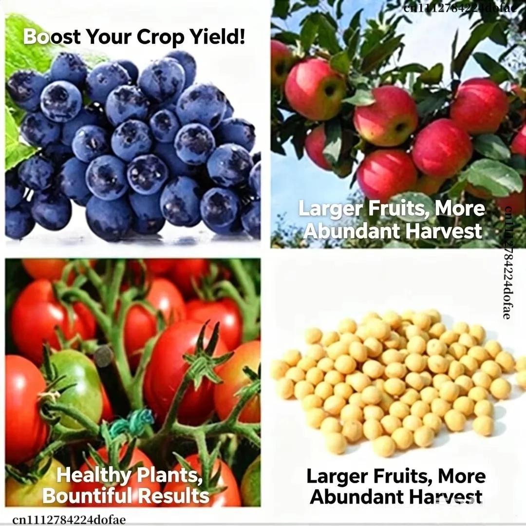 Factory Supply Thidiazuron TDZ Plant Growth Enhancer Fertilizer Raw Material, Promote Strong Roots, Enlarge Blooms, Improve Crop