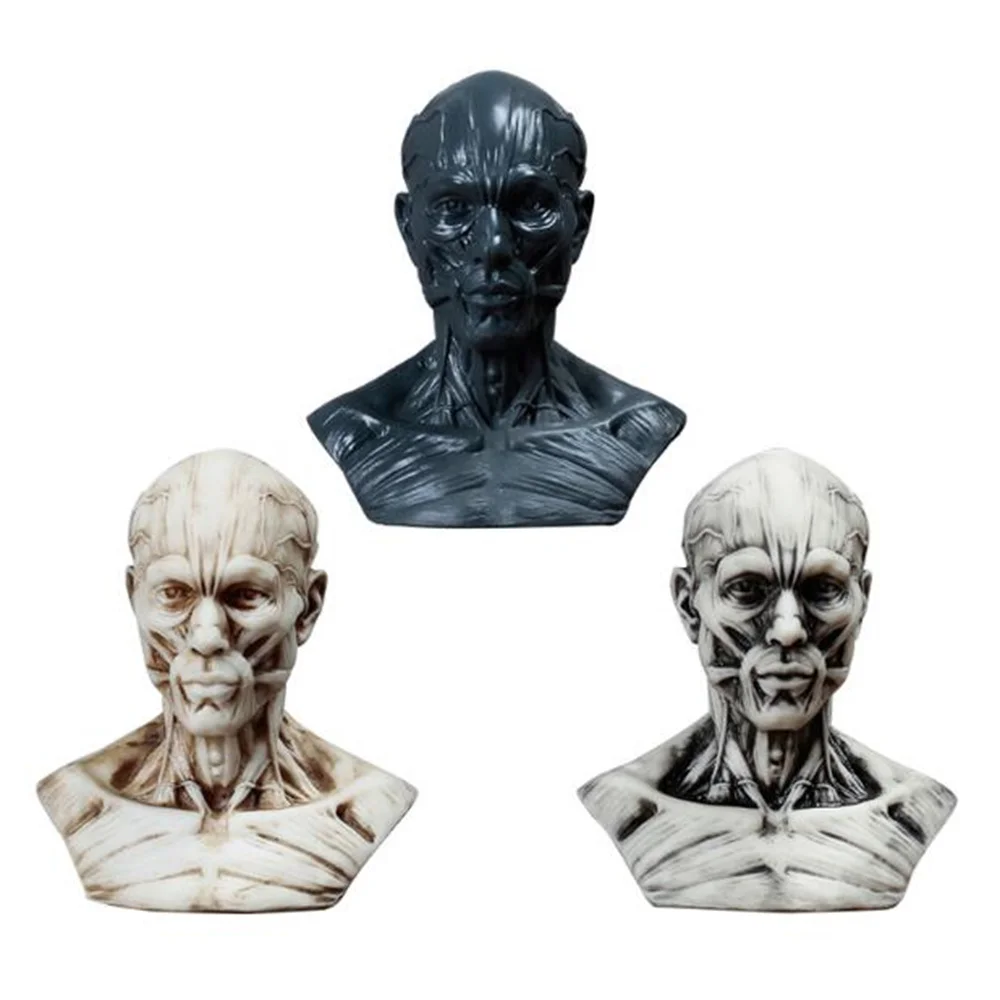 10cm Human Muscle Head Mannequin Carving, Still Life Drawing, Reference Skull Model, Artistic Bust, Landscaping M01009