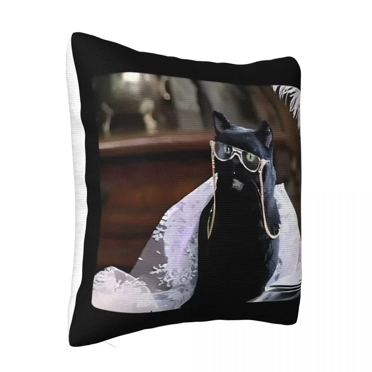 New Salem The Cat - Glasses Spectacles Headboards Pillow Case Covers Home And Decoration Pillow Case Pillow Cover