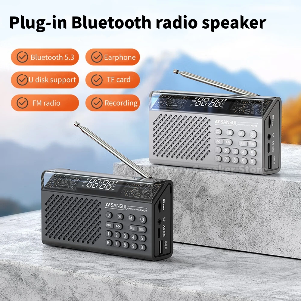 휴대용 FM 라디오 MP3 워크맨 TF/USB 지원 블루투스 무선 스피커 야외 스포츠 미니 디지털 노래 주문기