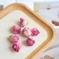 Epoxy Rose Earrings, Dried Flower Accessories, Semi-Finished Flowers, Handmade Resin DIY Materials