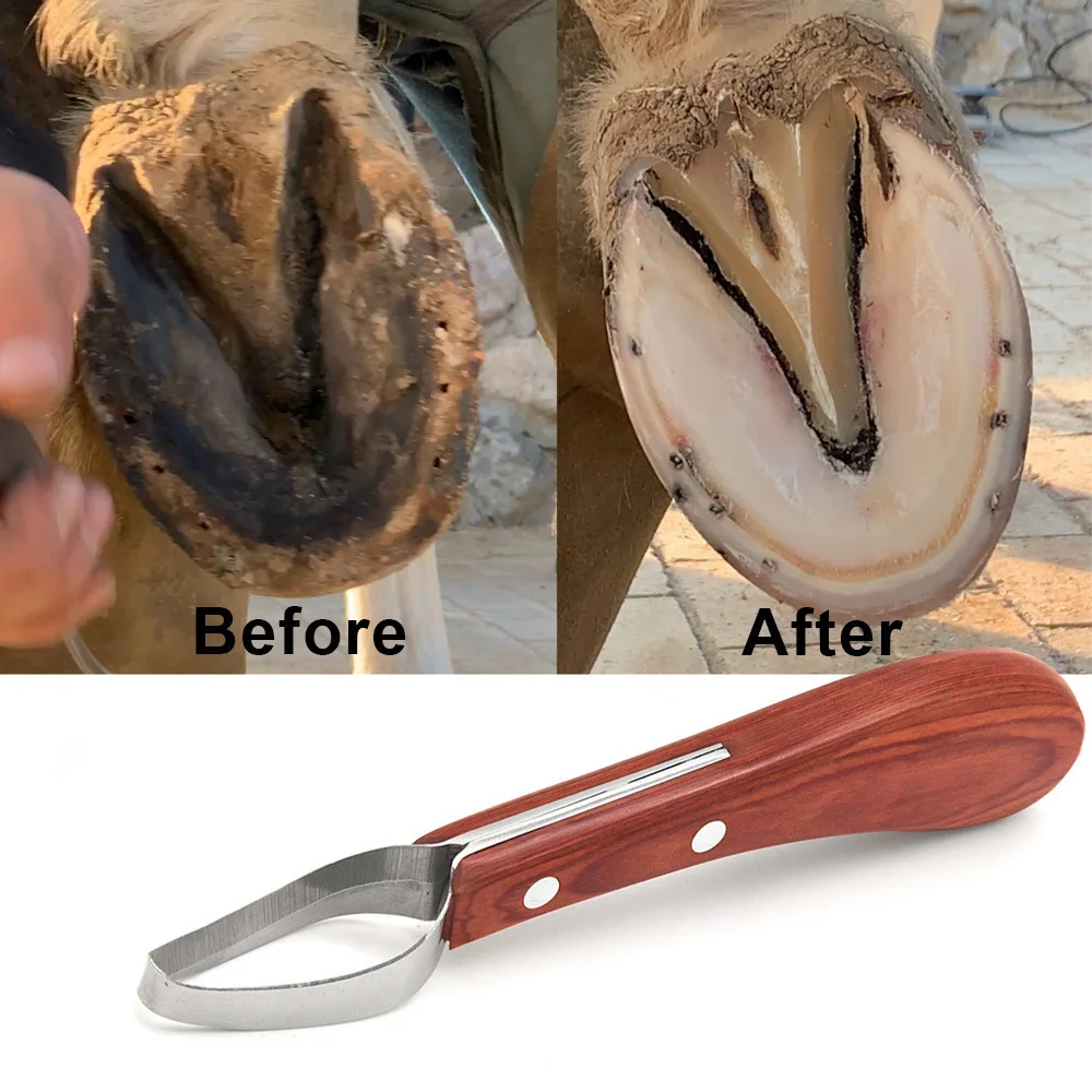 Circular Horseshoe Knife Hoof Center Knife Farrier Hoof Knife Stable Supplies Horse Hoof Trimming Repair Tool