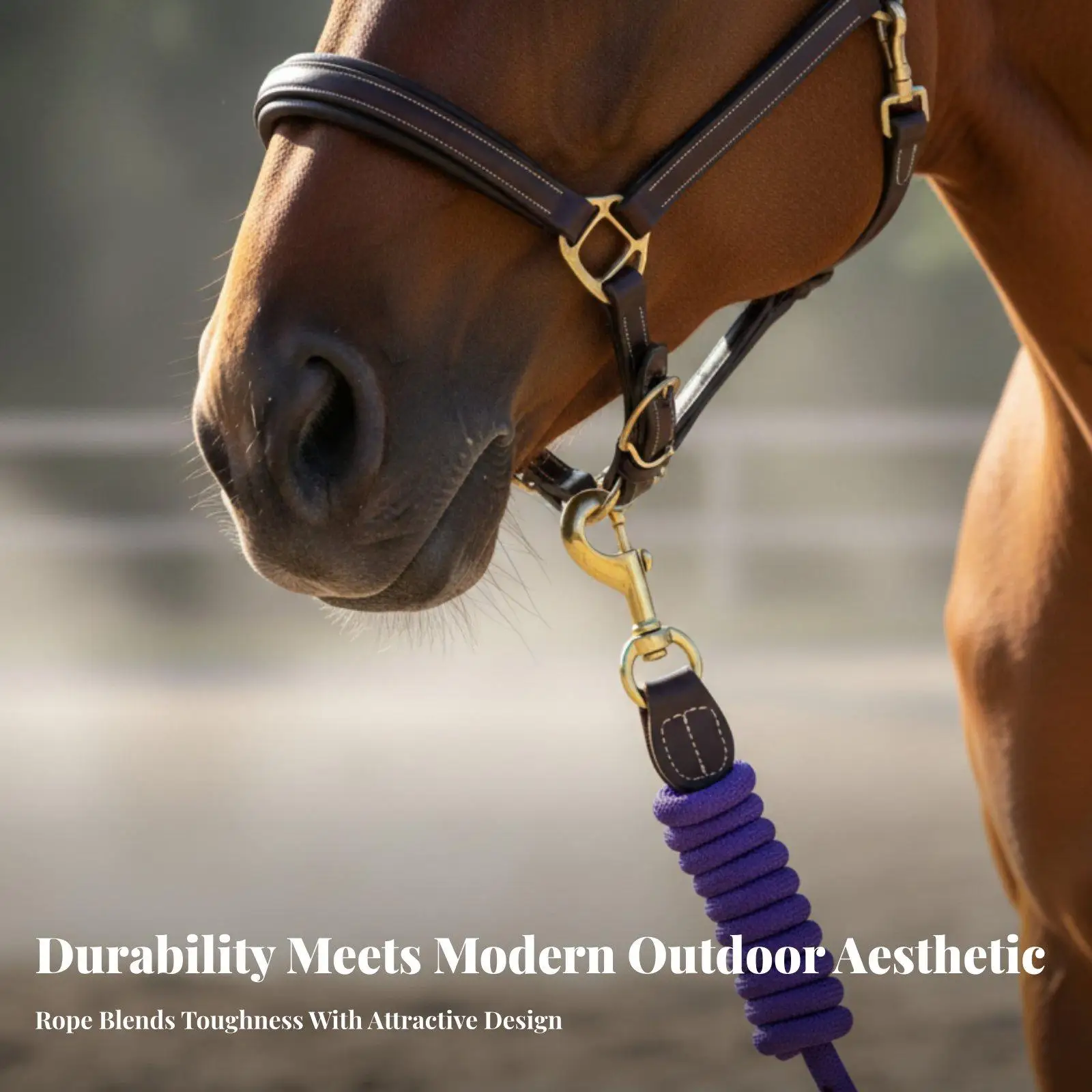Reinforced Leather Wrap Equestrian Tether Rope for Secure Horse Handling and Control